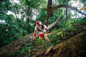 BIB: 
                            <button type="button" onclick="openModal(22778315)" class="btn btn-primary btn-sm float-right btn-popup" data-toggle="modal" data-target=".modal-high-quality">
                        <i class="fas fa-shopping-cart"></i> Add to Cart
                    </button>
                                            <button type="button" onclick="isThisMe(22778315, true)" class="btn btn-success btn-sm float-right btn-popup btn-isme hidden" data-toggle="tooltip" data-placement="bottom" title="นี่คือรูปของคุณใช่ไหม คลิกที่นี่เพื่อเอาเข้าอัลบั้ม">
                        <i class="fas fa-plus"></i> Add to album
                    </button>
                    <button type="button" onclick="isThisMe(22778315, false)" class="btn btn-warning btn-sm float-right btn-popup btn-isnotme hidden">
                        <i class="fas fa-ban"></i> Remove from album
                    </button>