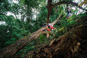 BIB: 
                            <button type="button" onclick="openModal(22778657)" class="btn btn-primary btn-sm float-right btn-popup" data-toggle="modal" data-target=".modal-high-quality">
                        <i class="fas fa-shopping-cart"></i> Add to Cart
                    </button>
                                            <button type="button" onclick="isThisMe(22778657, true)" class="btn btn-success btn-sm float-right btn-popup btn-isme hidden" data-toggle="tooltip" data-placement="bottom" title="นี่คือรูปของคุณใช่ไหม คลิกที่นี่เพื่อเอาเข้าอัลบั้ม">
                        <i class="fas fa-plus"></i> Add to album
                    </button>
                    <button type="button" onclick="isThisMe(22778657, false)" class="btn btn-warning btn-sm float-right btn-popup btn-isnotme hidden">
                        <i class="fas fa-ban"></i> Remove from album
                    </button>