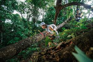 BIB: 
                            <button type="button" onclick="openModal(22778240)" class="btn btn-primary btn-sm float-right btn-popup" data-toggle="modal" data-target=".modal-high-quality">
                        <i class="fas fa-shopping-cart"></i> Add to Cart
                    </button>
                                            <button type="button" onclick="isThisMe(22778240, true)" class="btn btn-success btn-sm float-right btn-popup btn-isme hidden" data-toggle="tooltip" data-placement="bottom" title="นี่คือรูปของคุณใช่ไหม คลิกที่นี่เพื่อเอาเข้าอัลบั้ม">
                        <i class="fas fa-plus"></i> Add to album
                    </button>
                    <button type="button" onclick="isThisMe(22778240, false)" class="btn btn-warning btn-sm float-right btn-popup btn-isnotme hidden">
                        <i class="fas fa-ban"></i> Remove from album
                    </button>