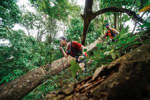 BIB: 
                            <button type="button" onclick="openModal(22779315)" class="btn btn-primary btn-sm float-right btn-popup" data-toggle="modal" data-target=".modal-high-quality">
                        <i class="fas fa-shopping-cart"></i> Add to Cart
                    </button>
                                            <button type="button" onclick="isThisMe(22779315, true)" class="btn btn-success btn-sm float-right btn-popup btn-isme hidden" data-toggle="tooltip" data-placement="bottom" title="นี่คือรูปของคุณใช่ไหม คลิกที่นี่เพื่อเอาเข้าอัลบั้ม">
                        <i class="fas fa-plus"></i> Add to album
                    </button>
                    <button type="button" onclick="isThisMe(22779315, false)" class="btn btn-warning btn-sm float-right btn-popup btn-isnotme hidden">
                        <i class="fas fa-ban"></i> Remove from album
                    </button>