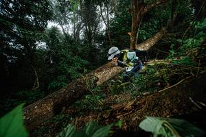 BIB: 
                            <button type="button" onclick="openModal(22776712)" class="btn btn-primary btn-sm float-right btn-popup" data-toggle="modal" data-target=".modal-high-quality">
                        <i class="fas fa-shopping-cart"></i> Add to Cart
                    </button>
                                            <button type="button" onclick="isThisMe(22776712, true)" class="btn btn-success btn-sm float-right btn-popup btn-isme hidden" data-toggle="tooltip" data-placement="bottom" title="นี่คือรูปของคุณใช่ไหม คลิกที่นี่เพื่อเอาเข้าอัลบั้ม">
                        <i class="fas fa-plus"></i> Add to album
                    </button>
                    <button type="button" onclick="isThisMe(22776712, false)" class="btn btn-warning btn-sm float-right btn-popup btn-isnotme hidden">
                        <i class="fas fa-ban"></i> Remove from album
                    </button>