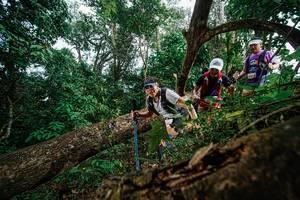 BIB: 
                            <button type="button" onclick="openModal(22778770)" class="btn btn-primary btn-sm float-right btn-popup" data-toggle="modal" data-target=".modal-high-quality">
                        <i class="fas fa-shopping-cart"></i> Add to Cart
                    </button>
                                            <button type="button" onclick="isThisMe(22778770, true)" class="btn btn-success btn-sm float-right btn-popup btn-isme hidden" data-toggle="tooltip" data-placement="bottom" title="นี่คือรูปของคุณใช่ไหม คลิกที่นี่เพื่อเอาเข้าอัลบั้ม">
                        <i class="fas fa-plus"></i> Add to album
                    </button>
                    <button type="button" onclick="isThisMe(22778770, false)" class="btn btn-warning btn-sm float-right btn-popup btn-isnotme hidden">
                        <i class="fas fa-ban"></i> Remove from album
                    </button>