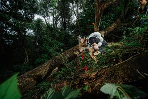 BIB: 
                            <button type="button" onclick="openModal(22776717)" class="btn btn-primary btn-sm float-right btn-popup" data-toggle="modal" data-target=".modal-high-quality">
                        <i class="fas fa-shopping-cart"></i> Add to Cart
                    </button>
                                            <button type="button" onclick="isThisMe(22776717, true)" class="btn btn-success btn-sm float-right btn-popup btn-isme hidden" data-toggle="tooltip" data-placement="bottom" title="นี่คือรูปของคุณใช่ไหม คลิกที่นี่เพื่อเอาเข้าอัลบั้ม">
                        <i class="fas fa-plus"></i> Add to album
                    </button>
                    <button type="button" onclick="isThisMe(22776717, false)" class="btn btn-warning btn-sm float-right btn-popup btn-isnotme hidden">
                        <i class="fas fa-ban"></i> Remove from album
                    </button>