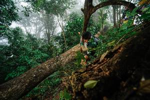 BIB: 
                            <button type="button" onclick="openModal(22778983)" class="btn btn-primary btn-sm float-right btn-popup" data-toggle="modal" data-target=".modal-high-quality">
                        <i class="fas fa-shopping-cart"></i> Add to Cart
                    </button>
                                            <button type="button" onclick="isThisMe(22778983, true)" class="btn btn-success btn-sm float-right btn-popup btn-isme hidden" data-toggle="tooltip" data-placement="bottom" title="นี่คือรูปของคุณใช่ไหม คลิกที่นี่เพื่อเอาเข้าอัลบั้ม">
                        <i class="fas fa-plus"></i> Add to album
                    </button>
                    <button type="button" onclick="isThisMe(22778983, false)" class="btn btn-warning btn-sm float-right btn-popup btn-isnotme hidden">
                        <i class="fas fa-ban"></i> Remove from album
                    </button>