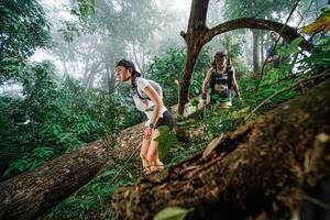 BIB: 
                            <button type="button" onclick="openModal(22778869)" class="btn btn-primary btn-sm float-right btn-popup" data-toggle="modal" data-target=".modal-high-quality">
                        <i class="fas fa-shopping-cart"></i> Add to Cart
                    </button>
                                            <button type="button" onclick="isThisMe(22778869, true)" class="btn btn-success btn-sm float-right btn-popup btn-isme hidden" data-toggle="tooltip" data-placement="bottom" title="นี่คือรูปของคุณใช่ไหม คลิกที่นี่เพื่อเอาเข้าอัลบั้ม">
                        <i class="fas fa-plus"></i> Add to album
                    </button>
                    <button type="button" onclick="isThisMe(22778869, false)" class="btn btn-warning btn-sm float-right btn-popup btn-isnotme hidden">
                        <i class="fas fa-ban"></i> Remove from album
                    </button>