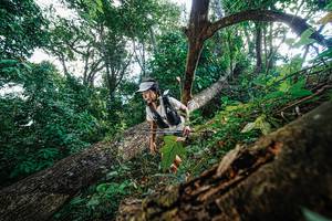 BIB: 
                            <button type="button" onclick="openModal(22778146)" class="btn btn-primary btn-sm float-right btn-popup" data-toggle="modal" data-target=".modal-high-quality">
                        <i class="fas fa-shopping-cart"></i> Add to Cart
                    </button>
                                            <button type="button" onclick="isThisMe(22778146, true)" class="btn btn-success btn-sm float-right btn-popup btn-isme hidden" data-toggle="tooltip" data-placement="bottom" title="นี่คือรูปของคุณใช่ไหม คลิกที่นี่เพื่อเอาเข้าอัลบั้ม">
                        <i class="fas fa-plus"></i> Add to album
                    </button>
                    <button type="button" onclick="isThisMe(22778146, false)" class="btn btn-warning btn-sm float-right btn-popup btn-isnotme hidden">
                        <i class="fas fa-ban"></i> Remove from album
                    </button>