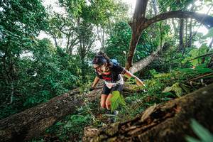 BIB: 
                            <button type="button" onclick="openModal(22778219)" class="btn btn-primary btn-sm float-right btn-popup" data-toggle="modal" data-target=".modal-high-quality">
                        <i class="fas fa-shopping-cart"></i> Add to Cart
                    </button>
                                            <button type="button" onclick="isThisMe(22778219, true)" class="btn btn-success btn-sm float-right btn-popup btn-isme hidden" data-toggle="tooltip" data-placement="bottom" title="นี่คือรูปของคุณใช่ไหม คลิกที่นี่เพื่อเอาเข้าอัลบั้ม">
                        <i class="fas fa-plus"></i> Add to album
                    </button>
                    <button type="button" onclick="isThisMe(22778219, false)" class="btn btn-warning btn-sm float-right btn-popup btn-isnotme hidden">
                        <i class="fas fa-ban"></i> Remove from album
                    </button>