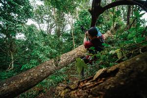 BIB: 
                            <button type="button" onclick="openModal(22779188)" class="btn btn-primary btn-sm float-right btn-popup" data-toggle="modal" data-target=".modal-high-quality">
                        <i class="fas fa-shopping-cart"></i> Add to Cart
                    </button>
                                            <button type="button" onclick="isThisMe(22779188, true)" class="btn btn-success btn-sm float-right btn-popup btn-isme hidden" data-toggle="tooltip" data-placement="bottom" title="นี่คือรูปของคุณใช่ไหม คลิกที่นี่เพื่อเอาเข้าอัลบั้ม">
                        <i class="fas fa-plus"></i> Add to album
                    </button>
                    <button type="button" onclick="isThisMe(22779188, false)" class="btn btn-warning btn-sm float-right btn-popup btn-isnotme hidden">
                        <i class="fas fa-ban"></i> Remove from album
                    </button>