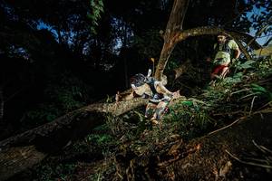 BIB: 
                            <button type="button" onclick="openModal(22774453)" class="btn btn-primary btn-sm float-right btn-popup" data-toggle="modal" data-target=".modal-high-quality">
                        <i class="fas fa-shopping-cart"></i> Add to Cart
                    </button>
                                            <button type="button" onclick="isThisMe(22774453, true)" class="btn btn-success btn-sm float-right btn-popup btn-isme hidden" data-toggle="tooltip" data-placement="bottom" title="นี่คือรูปของคุณใช่ไหม คลิกที่นี่เพื่อเอาเข้าอัลบั้ม">
                        <i class="fas fa-plus"></i> Add to album
                    </button>
                    <button type="button" onclick="isThisMe(22774453, false)" class="btn btn-warning btn-sm float-right btn-popup btn-isnotme hidden">
                        <i class="fas fa-ban"></i> Remove from album
                    </button>