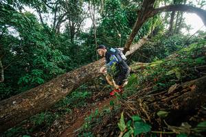 BIB: 
                            <button type="button" onclick="openModal(22777545)" class="btn btn-primary btn-sm float-right btn-popup" data-toggle="modal" data-target=".modal-high-quality">
                        <i class="fas fa-shopping-cart"></i> Add to Cart
                    </button>
                                            <button type="button" onclick="isThisMe(22777545, true)" class="btn btn-success btn-sm float-right btn-popup btn-isme hidden" data-toggle="tooltip" data-placement="bottom" title="นี่คือรูปของคุณใช่ไหม คลิกที่นี่เพื่อเอาเข้าอัลบั้ม">
                        <i class="fas fa-plus"></i> Add to album
                    </button>
                    <button type="button" onclick="isThisMe(22777545, false)" class="btn btn-warning btn-sm float-right btn-popup btn-isnotme hidden">
                        <i class="fas fa-ban"></i> Remove from album
                    </button>