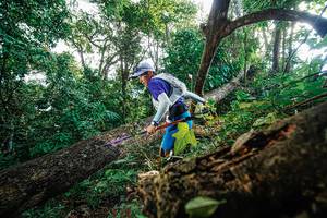 BIB: 
                            <button type="button" onclick="openModal(22778197)" class="btn btn-primary btn-sm float-right btn-popup" data-toggle="modal" data-target=".modal-high-quality">
                        <i class="fas fa-shopping-cart"></i> Add to Cart
                    </button>
                                            <button type="button" onclick="isThisMe(22778197, true)" class="btn btn-success btn-sm float-right btn-popup btn-isme hidden" data-toggle="tooltip" data-placement="bottom" title="นี่คือรูปของคุณใช่ไหม คลิกที่นี่เพื่อเอาเข้าอัลบั้ม">
                        <i class="fas fa-plus"></i> Add to album
                    </button>
                    <button type="button" onclick="isThisMe(22778197, false)" class="btn btn-warning btn-sm float-right btn-popup btn-isnotme hidden">
                        <i class="fas fa-ban"></i> Remove from album
                    </button>