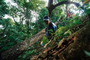 BIB: 
                            <button type="button" onclick="openModal(22778163)" class="btn btn-primary btn-sm float-right btn-popup" data-toggle="modal" data-target=".modal-high-quality">
                        <i class="fas fa-shopping-cart"></i> Add to Cart
                    </button>
                                            <button type="button" onclick="isThisMe(22778163, true)" class="btn btn-success btn-sm float-right btn-popup btn-isme hidden" data-toggle="tooltip" data-placement="bottom" title="นี่คือรูปของคุณใช่ไหม คลิกที่นี่เพื่อเอาเข้าอัลบั้ม">
                        <i class="fas fa-plus"></i> Add to album
                    </button>
                    <button type="button" onclick="isThisMe(22778163, false)" class="btn btn-warning btn-sm float-right btn-popup btn-isnotme hidden">
                        <i class="fas fa-ban"></i> Remove from album
                    </button>