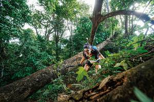 BIB: 
                            <button type="button" onclick="openModal(22778217)" class="btn btn-primary btn-sm float-right btn-popup" data-toggle="modal" data-target=".modal-high-quality">
                        <i class="fas fa-shopping-cart"></i> Add to Cart
                    </button>
                                            <button type="button" onclick="isThisMe(22778217, true)" class="btn btn-success btn-sm float-right btn-popup btn-isme hidden" data-toggle="tooltip" data-placement="bottom" title="นี่คือรูปของคุณใช่ไหม คลิกที่นี่เพื่อเอาเข้าอัลบั้ม">
                        <i class="fas fa-plus"></i> Add to album
                    </button>
                    <button type="button" onclick="isThisMe(22778217, false)" class="btn btn-warning btn-sm float-right btn-popup btn-isnotme hidden">
                        <i class="fas fa-ban"></i> Remove from album
                    </button>