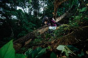 BIB: 
                            <button type="button" onclick="openModal(22775494)" class="btn btn-primary btn-sm float-right btn-popup" data-toggle="modal" data-target=".modal-high-quality">
                        <i class="fas fa-shopping-cart"></i> Add to Cart
                    </button>
                                            <button type="button" onclick="isThisMe(22775494, true)" class="btn btn-success btn-sm float-right btn-popup btn-isme hidden" data-toggle="tooltip" data-placement="bottom" title="นี่คือรูปของคุณใช่ไหม คลิกที่นี่เพื่อเอาเข้าอัลบั้ม">
                        <i class="fas fa-plus"></i> Add to album
                    </button>
                    <button type="button" onclick="isThisMe(22775494, false)" class="btn btn-warning btn-sm float-right btn-popup btn-isnotme hidden">
                        <i class="fas fa-ban"></i> Remove from album
                    </button>