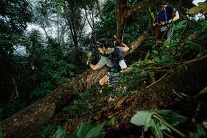 BIB: 
                            <button type="button" onclick="openModal(22775733)" class="btn btn-primary btn-sm float-right btn-popup" data-toggle="modal" data-target=".modal-high-quality">
                        <i class="fas fa-shopping-cart"></i> Add to Cart
                    </button>
                                            <button type="button" onclick="isThisMe(22775733, true)" class="btn btn-success btn-sm float-right btn-popup btn-isme hidden" data-toggle="tooltip" data-placement="bottom" title="นี่คือรูปของคุณใช่ไหม คลิกที่นี่เพื่อเอาเข้าอัลบั้ม">
                        <i class="fas fa-plus"></i> Add to album
                    </button>
                    <button type="button" onclick="isThisMe(22775733, false)" class="btn btn-warning btn-sm float-right btn-popup btn-isnotme hidden">
                        <i class="fas fa-ban"></i> Remove from album
                    </button>