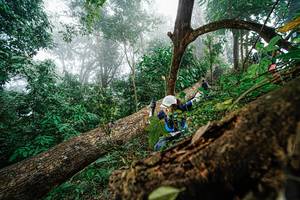 BIB: 
                            <button type="button" onclick="openModal(22778877)" class="btn btn-primary btn-sm float-right btn-popup" data-toggle="modal" data-target=".modal-high-quality">
                        <i class="fas fa-shopping-cart"></i> Add to Cart
                    </button>
                                            <button type="button" onclick="isThisMe(22778877, true)" class="btn btn-success btn-sm float-right btn-popup btn-isme hidden" data-toggle="tooltip" data-placement="bottom" title="นี่คือรูปของคุณใช่ไหม คลิกที่นี่เพื่อเอาเข้าอัลบั้ม">
                        <i class="fas fa-plus"></i> Add to album
                    </button>
                    <button type="button" onclick="isThisMe(22778877, false)" class="btn btn-warning btn-sm float-right btn-popup btn-isnotme hidden">
                        <i class="fas fa-ban"></i> Remove from album
                    </button>