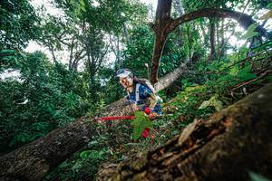 BIB: 1203
                            <button type="button" onclick="openModal(22778144)" class="btn btn-primary btn-sm float-right btn-popup" data-toggle="modal" data-target=".modal-high-quality">
                        <i class="fas fa-shopping-cart"></i> Add to Cart
                    </button>
                                            <button type="button" onclick="isThisMe(22778144, true)" class="btn btn-success btn-sm float-right btn-popup btn-isme hidden" data-toggle="tooltip" data-placement="bottom" title="นี่คือรูปของคุณใช่ไหม คลิกที่นี่เพื่อเอาเข้าอัลบั้ม">
                        <i class="fas fa-plus"></i> Add to album
                    </button>
                    <button type="button" onclick="isThisMe(22778144, false)" class="btn btn-warning btn-sm float-right btn-popup btn-isnotme hidden">
                        <i class="fas fa-ban"></i> Remove from album
                    </button>