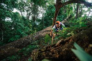 BIB: 
                            <button type="button" onclick="openModal(22778245)" class="btn btn-primary btn-sm float-right btn-popup" data-toggle="modal" data-target=".modal-high-quality">
                        <i class="fas fa-shopping-cart"></i> Add to Cart
                    </button>
                                            <button type="button" onclick="isThisMe(22778245, true)" class="btn btn-success btn-sm float-right btn-popup btn-isme hidden" data-toggle="tooltip" data-placement="bottom" title="นี่คือรูปของคุณใช่ไหม คลิกที่นี่เพื่อเอาเข้าอัลบั้ม">
                        <i class="fas fa-plus"></i> Add to album
                    </button>
                    <button type="button" onclick="isThisMe(22778245, false)" class="btn btn-warning btn-sm float-right btn-popup btn-isnotme hidden">
                        <i class="fas fa-ban"></i> Remove from album
                    </button>