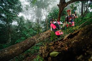 BIB: 
                            <button type="button" onclick="openModal(22778973)" class="btn btn-primary btn-sm float-right btn-popup" data-toggle="modal" data-target=".modal-high-quality">
                        <i class="fas fa-shopping-cart"></i> Add to Cart
                    </button>
                                            <button type="button" onclick="isThisMe(22778973, true)" class="btn btn-success btn-sm float-right btn-popup btn-isme hidden" data-toggle="tooltip" data-placement="bottom" title="นี่คือรูปของคุณใช่ไหม คลิกที่นี่เพื่อเอาเข้าอัลบั้ม">
                        <i class="fas fa-plus"></i> Add to album
                    </button>
                    <button type="button" onclick="isThisMe(22778973, false)" class="btn btn-warning btn-sm float-right btn-popup btn-isnotme hidden">
                        <i class="fas fa-ban"></i> Remove from album
                    </button>