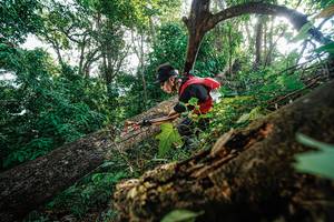 BIB: 
                            <button type="button" onclick="openModal(22778178)" class="btn btn-primary btn-sm float-right btn-popup" data-toggle="modal" data-target=".modal-high-quality">
                        <i class="fas fa-shopping-cart"></i> Add to Cart
                    </button>
                                            <button type="button" onclick="isThisMe(22778178, true)" class="btn btn-success btn-sm float-right btn-popup btn-isme hidden" data-toggle="tooltip" data-placement="bottom" title="นี่คือรูปของคุณใช่ไหม คลิกที่นี่เพื่อเอาเข้าอัลบั้ม">
                        <i class="fas fa-plus"></i> Add to album
                    </button>
                    <button type="button" onclick="isThisMe(22778178, false)" class="btn btn-warning btn-sm float-right btn-popup btn-isnotme hidden">
                        <i class="fas fa-ban"></i> Remove from album
                    </button>