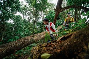 BIB: 
                            <button type="button" onclick="openModal(22778942)" class="btn btn-primary btn-sm float-right btn-popup" data-toggle="modal" data-target=".modal-high-quality">
                        <i class="fas fa-shopping-cart"></i> Add to Cart
                    </button>
                                            <button type="button" onclick="isThisMe(22778942, true)" class="btn btn-success btn-sm float-right btn-popup btn-isme hidden" data-toggle="tooltip" data-placement="bottom" title="นี่คือรูปของคุณใช่ไหม คลิกที่นี่เพื่อเอาเข้าอัลบั้ม">
                        <i class="fas fa-plus"></i> Add to album
                    </button>
                    <button type="button" onclick="isThisMe(22778942, false)" class="btn btn-warning btn-sm float-right btn-popup btn-isnotme hidden">
                        <i class="fas fa-ban"></i> Remove from album
                    </button>