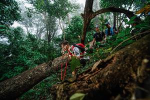 BIB: 
                            <button type="button" onclick="openModal(22778853)" class="btn btn-primary btn-sm float-right btn-popup" data-toggle="modal" data-target=".modal-high-quality">
                        <i class="fas fa-shopping-cart"></i> Add to Cart
                    </button>
                                            <button type="button" onclick="isThisMe(22778853, true)" class="btn btn-success btn-sm float-right btn-popup btn-isme hidden" data-toggle="tooltip" data-placement="bottom" title="นี่คือรูปของคุณใช่ไหม คลิกที่นี่เพื่อเอาเข้าอัลบั้ม">
                        <i class="fas fa-plus"></i> Add to album
                    </button>
                    <button type="button" onclick="isThisMe(22778853, false)" class="btn btn-warning btn-sm float-right btn-popup btn-isnotme hidden">
                        <i class="fas fa-ban"></i> Remove from album
                    </button>