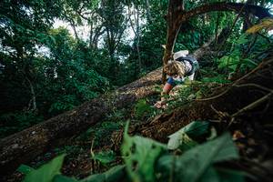 BIB: 
                            <button type="button" onclick="openModal(22777458)" class="btn btn-primary btn-sm float-right btn-popup" data-toggle="modal" data-target=".modal-high-quality">
                        <i class="fas fa-shopping-cart"></i> Add to Cart
                    </button>
                                            <button type="button" onclick="isThisMe(22777458, true)" class="btn btn-success btn-sm float-right btn-popup btn-isme hidden" data-toggle="tooltip" data-placement="bottom" title="นี่คือรูปของคุณใช่ไหม คลิกที่นี่เพื่อเอาเข้าอัลบั้ม">
                        <i class="fas fa-plus"></i> Add to album
                    </button>
                    <button type="button" onclick="isThisMe(22777458, false)" class="btn btn-warning btn-sm float-right btn-popup btn-isnotme hidden">
                        <i class="fas fa-ban"></i> Remove from album
                    </button>