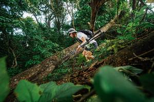 BIB: 
                            <button type="button" onclick="openModal(22777291)" class="btn btn-primary btn-sm float-right btn-popup" data-toggle="modal" data-target=".modal-high-quality">
                        <i class="fas fa-shopping-cart"></i> Add to Cart
                    </button>
                                            <button type="button" onclick="isThisMe(22777291, true)" class="btn btn-success btn-sm float-right btn-popup btn-isme hidden" data-toggle="tooltip" data-placement="bottom" title="นี่คือรูปของคุณใช่ไหม คลิกที่นี่เพื่อเอาเข้าอัลบั้ม">
                        <i class="fas fa-plus"></i> Add to album
                    </button>
                    <button type="button" onclick="isThisMe(22777291, false)" class="btn btn-warning btn-sm float-right btn-popup btn-isnotme hidden">
                        <i class="fas fa-ban"></i> Remove from album
                    </button>