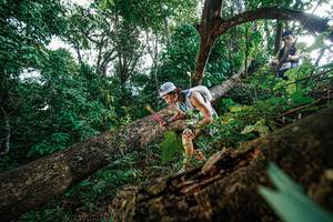 BIB: 
                            <button type="button" onclick="openModal(22778241)" class="btn btn-primary btn-sm float-right btn-popup" data-toggle="modal" data-target=".modal-high-quality">
                        <i class="fas fa-shopping-cart"></i> Add to Cart
                    </button>
                                            <button type="button" onclick="isThisMe(22778241, true)" class="btn btn-success btn-sm float-right btn-popup btn-isme hidden" data-toggle="tooltip" data-placement="bottom" title="นี่คือรูปของคุณใช่ไหม คลิกที่นี่เพื่อเอาเข้าอัลบั้ม">
                        <i class="fas fa-plus"></i> Add to album
                    </button>
                    <button type="button" onclick="isThisMe(22778241, false)" class="btn btn-warning btn-sm float-right btn-popup btn-isnotme hidden">
                        <i class="fas fa-ban"></i> Remove from album
                    </button>