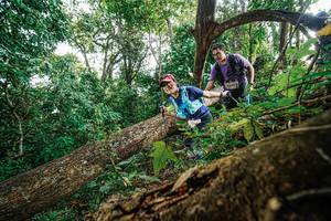 BIB: 1491
                            <button type="button" onclick="openModal(22778606)" class="btn btn-primary btn-sm float-right btn-popup" data-toggle="modal" data-target=".modal-high-quality">
                        <i class="fas fa-shopping-cart"></i> Add to Cart
                    </button>
                                            <button type="button" onclick="isThisMe(22778606, true)" class="btn btn-success btn-sm float-right btn-popup btn-isme hidden" data-toggle="tooltip" data-placement="bottom" title="นี่คือรูปของคุณใช่ไหม คลิกที่นี่เพื่อเอาเข้าอัลบั้ม">
                        <i class="fas fa-plus"></i> Add to album
                    </button>
                    <button type="button" onclick="isThisMe(22778606, false)" class="btn btn-warning btn-sm float-right btn-popup btn-isnotme hidden">
                        <i class="fas fa-ban"></i> Remove from album
                    </button>