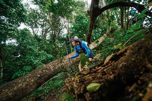 BIB: 
                            <button type="button" onclick="openModal(22779052)" class="btn btn-primary btn-sm float-right btn-popup" data-toggle="modal" data-target=".modal-high-quality">
                        <i class="fas fa-shopping-cart"></i> Add to Cart
                    </button>
                                            <button type="button" onclick="isThisMe(22779052, true)" class="btn btn-success btn-sm float-right btn-popup btn-isme hidden" data-toggle="tooltip" data-placement="bottom" title="นี่คือรูปของคุณใช่ไหม คลิกที่นี่เพื่อเอาเข้าอัลบั้ม">
                        <i class="fas fa-plus"></i> Add to album
                    </button>
                    <button type="button" onclick="isThisMe(22779052, false)" class="btn btn-warning btn-sm float-right btn-popup btn-isnotme hidden">
                        <i class="fas fa-ban"></i> Remove from album
                    </button>