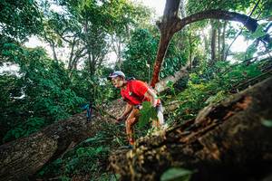 BIB: 
                            <button type="button" onclick="openModal(22777798)" class="btn btn-primary btn-sm float-right btn-popup" data-toggle="modal" data-target=".modal-high-quality">
                        <i class="fas fa-shopping-cart"></i> Add to Cart
                    </button>
                                            <button type="button" onclick="isThisMe(22777798, true)" class="btn btn-success btn-sm float-right btn-popup btn-isme hidden" data-toggle="tooltip" data-placement="bottom" title="นี่คือรูปของคุณใช่ไหม คลิกที่นี่เพื่อเอาเข้าอัลบั้ม">
                        <i class="fas fa-plus"></i> Add to album
                    </button>
                    <button type="button" onclick="isThisMe(22777798, false)" class="btn btn-warning btn-sm float-right btn-popup btn-isnotme hidden">
                        <i class="fas fa-ban"></i> Remove from album
                    </button>