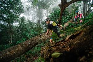 BIB: 
                            <button type="button" onclick="openModal(22778972)" class="btn btn-primary btn-sm float-right btn-popup" data-toggle="modal" data-target=".modal-high-quality">
                        <i class="fas fa-shopping-cart"></i> Add to Cart
                    </button>
                                            <button type="button" onclick="isThisMe(22778972, true)" class="btn btn-success btn-sm float-right btn-popup btn-isme hidden" data-toggle="tooltip" data-placement="bottom" title="นี่คือรูปของคุณใช่ไหม คลิกที่นี่เพื่อเอาเข้าอัลบั้ม">
                        <i class="fas fa-plus"></i> Add to album
                    </button>
                    <button type="button" onclick="isThisMe(22778972, false)" class="btn btn-warning btn-sm float-right btn-popup btn-isnotme hidden">
                        <i class="fas fa-ban"></i> Remove from album
                    </button>