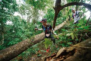 BIB: 63845
                            <button type="button" onclick="openModal(22779200)" class="btn btn-primary btn-sm float-right btn-popup" data-toggle="modal" data-target=".modal-high-quality">
                        <i class="fas fa-shopping-cart"></i> Add to Cart
                    </button>
                                            <button type="button" onclick="isThisMe(22779200, true)" class="btn btn-success btn-sm float-right btn-popup btn-isme hidden" data-toggle="tooltip" data-placement="bottom" title="นี่คือรูปของคุณใช่ไหม คลิกที่นี่เพื่อเอาเข้าอัลบั้ม">
                        <i class="fas fa-plus"></i> Add to album
                    </button>
                    <button type="button" onclick="isThisMe(22779200, false)" class="btn btn-warning btn-sm float-right btn-popup btn-isnotme hidden">
                        <i class="fas fa-ban"></i> Remove from album
                    </button>