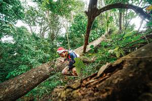 BIB: 
                            <button type="button" onclick="openModal(22779250)" class="btn btn-primary btn-sm float-right btn-popup" data-toggle="modal" data-target=".modal-high-quality">
                        <i class="fas fa-shopping-cart"></i> Add to Cart
                    </button>
                                            <button type="button" onclick="isThisMe(22779250, true)" class="btn btn-success btn-sm float-right btn-popup btn-isme hidden" data-toggle="tooltip" data-placement="bottom" title="นี่คือรูปของคุณใช่ไหม คลิกที่นี่เพื่อเอาเข้าอัลบั้ม">
                        <i class="fas fa-plus"></i> Add to album
                    </button>
                    <button type="button" onclick="isThisMe(22779250, false)" class="btn btn-warning btn-sm float-right btn-popup btn-isnotme hidden">
                        <i class="fas fa-ban"></i> Remove from album
                    </button>