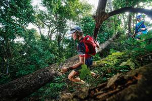 BIB: 
                            <button type="button" onclick="openModal(22778106)" class="btn btn-primary btn-sm float-right btn-popup" data-toggle="modal" data-target=".modal-high-quality">
                        <i class="fas fa-shopping-cart"></i> Add to Cart
                    </button>
                                            <button type="button" onclick="isThisMe(22778106, true)" class="btn btn-success btn-sm float-right btn-popup btn-isme hidden" data-toggle="tooltip" data-placement="bottom" title="นี่คือรูปของคุณใช่ไหม คลิกที่นี่เพื่อเอาเข้าอัลบั้ม">
                        <i class="fas fa-plus"></i> Add to album
                    </button>
                    <button type="button" onclick="isThisMe(22778106, false)" class="btn btn-warning btn-sm float-right btn-popup btn-isnotme hidden">
                        <i class="fas fa-ban"></i> Remove from album
                    </button>