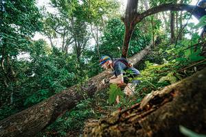 BIB: 
                            <button type="button" onclick="openModal(22778029)" class="btn btn-primary btn-sm float-right btn-popup" data-toggle="modal" data-target=".modal-high-quality">
                        <i class="fas fa-shopping-cart"></i> Add to Cart
                    </button>
                                            <button type="button" onclick="isThisMe(22778029, true)" class="btn btn-success btn-sm float-right btn-popup btn-isme hidden" data-toggle="tooltip" data-placement="bottom" title="นี่คือรูปของคุณใช่ไหม คลิกที่นี่เพื่อเอาเข้าอัลบั้ม">
                        <i class="fas fa-plus"></i> Add to album
                    </button>
                    <button type="button" onclick="isThisMe(22778029, false)" class="btn btn-warning btn-sm float-right btn-popup btn-isnotme hidden">
                        <i class="fas fa-ban"></i> Remove from album
                    </button>