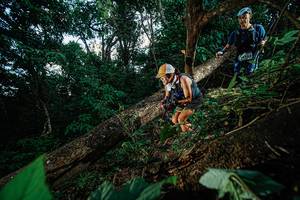 BIB: 
                            <button type="button" onclick="openModal(22775626)" class="btn btn-primary btn-sm float-right btn-popup" data-toggle="modal" data-target=".modal-high-quality">
                        <i class="fas fa-shopping-cart"></i> Add to Cart
                    </button>
                                            <button type="button" onclick="isThisMe(22775626, true)" class="btn btn-success btn-sm float-right btn-popup btn-isme hidden" data-toggle="tooltip" data-placement="bottom" title="นี่คือรูปของคุณใช่ไหม คลิกที่นี่เพื่อเอาเข้าอัลบั้ม">
                        <i class="fas fa-plus"></i> Add to album
                    </button>
                    <button type="button" onclick="isThisMe(22775626, false)" class="btn btn-warning btn-sm float-right btn-popup btn-isnotme hidden">
                        <i class="fas fa-ban"></i> Remove from album
                    </button>