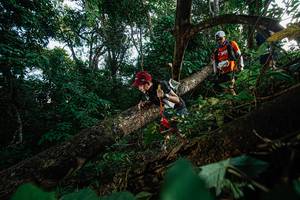 BIB: 
                            <button type="button" onclick="openModal(22777350)" class="btn btn-primary btn-sm float-right btn-popup" data-toggle="modal" data-target=".modal-high-quality">
                        <i class="fas fa-shopping-cart"></i> Add to Cart
                    </button>
                                            <button type="button" onclick="isThisMe(22777350, true)" class="btn btn-success btn-sm float-right btn-popup btn-isme hidden" data-toggle="tooltip" data-placement="bottom" title="นี่คือรูปของคุณใช่ไหม คลิกที่นี่เพื่อเอาเข้าอัลบั้ม">
                        <i class="fas fa-plus"></i> Add to album
                    </button>
                    <button type="button" onclick="isThisMe(22777350, false)" class="btn btn-warning btn-sm float-right btn-popup btn-isnotme hidden">
                        <i class="fas fa-ban"></i> Remove from album
                    </button>