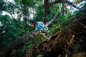 BIB: 
                            <button type="button" onclick="openModal(22778387)" class="btn btn-primary btn-sm float-right btn-popup" data-toggle="modal" data-target=".modal-high-quality">
                        <i class="fas fa-shopping-cart"></i> Add to Cart
                    </button>
                                            <button type="button" onclick="isThisMe(22778387, true)" class="btn btn-success btn-sm float-right btn-popup btn-isme hidden" data-toggle="tooltip" data-placement="bottom" title="นี่คือรูปของคุณใช่ไหม คลิกที่นี่เพื่อเอาเข้าอัลบั้ม">
                        <i class="fas fa-plus"></i> Add to album
                    </button>
                    <button type="button" onclick="isThisMe(22778387, false)" class="btn btn-warning btn-sm float-right btn-popup btn-isnotme hidden">
                        <i class="fas fa-ban"></i> Remove from album
                    </button>