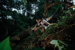 BIB: 
                            <button type="button" onclick="openModal(22775221)" class="btn btn-primary btn-sm float-right btn-popup" data-toggle="modal" data-target=".modal-high-quality">
                        <i class="fas fa-shopping-cart"></i> Add to Cart
                    </button>
                                            <button type="button" onclick="isThisMe(22775221, true)" class="btn btn-success btn-sm float-right btn-popup btn-isme hidden" data-toggle="tooltip" data-placement="bottom" title="นี่คือรูปของคุณใช่ไหม คลิกที่นี่เพื่อเอาเข้าอัลบั้ม">
                        <i class="fas fa-plus"></i> Add to album
                    </button>
                    <button type="button" onclick="isThisMe(22775221, false)" class="btn btn-warning btn-sm float-right btn-popup btn-isnotme hidden">
                        <i class="fas fa-ban"></i> Remove from album
                    </button>