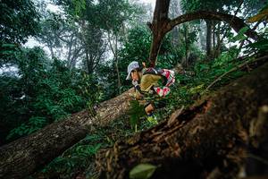 BIB: 
                            <button type="button" onclick="openModal(22778834)" class="btn btn-primary btn-sm float-right btn-popup" data-toggle="modal" data-target=".modal-high-quality">
                        <i class="fas fa-shopping-cart"></i> Add to Cart
                    </button>
                                            <button type="button" onclick="isThisMe(22778834, true)" class="btn btn-success btn-sm float-right btn-popup btn-isme hidden" data-toggle="tooltip" data-placement="bottom" title="นี่คือรูปของคุณใช่ไหม คลิกที่นี่เพื่อเอาเข้าอัลบั้ม">
                        <i class="fas fa-plus"></i> Add to album
                    </button>
                    <button type="button" onclick="isThisMe(22778834, false)" class="btn btn-warning btn-sm float-right btn-popup btn-isnotme hidden">
                        <i class="fas fa-ban"></i> Remove from album
                    </button>