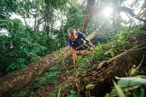 BIB: 
                            <button type="button" onclick="openModal(22777590)" class="btn btn-primary btn-sm float-right btn-popup" data-toggle="modal" data-target=".modal-high-quality">
                        <i class="fas fa-shopping-cart"></i> Add to Cart
                    </button>
                                            <button type="button" onclick="isThisMe(22777590, true)" class="btn btn-success btn-sm float-right btn-popup btn-isme hidden" data-toggle="tooltip" data-placement="bottom" title="นี่คือรูปของคุณใช่ไหม คลิกที่นี่เพื่อเอาเข้าอัลบั้ม">
                        <i class="fas fa-plus"></i> Add to album
                    </button>
                    <button type="button" onclick="isThisMe(22777590, false)" class="btn btn-warning btn-sm float-right btn-popup btn-isnotme hidden">
                        <i class="fas fa-ban"></i> Remove from album
                    </button>