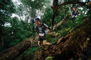 BIB: 6072
                            <button type="button" onclick="openModal(22779110)" class="btn btn-primary btn-sm float-right btn-popup" data-toggle="modal" data-target=".modal-high-quality">
                        <i class="fas fa-shopping-cart"></i> Add to Cart
                    </button>
                                            <button type="button" onclick="isThisMe(22779110, true)" class="btn btn-success btn-sm float-right btn-popup btn-isme hidden" data-toggle="tooltip" data-placement="bottom" title="นี่คือรูปของคุณใช่ไหม คลิกที่นี่เพื่อเอาเข้าอัลบั้ม">
                        <i class="fas fa-plus"></i> Add to album
                    </button>
                    <button type="button" onclick="isThisMe(22779110, false)" class="btn btn-warning btn-sm float-right btn-popup btn-isnotme hidden">
                        <i class="fas fa-ban"></i> Remove from album
                    </button>