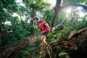 BIB: 
                            <button type="button" onclick="openModal(22777773)" class="btn btn-primary btn-sm float-right btn-popup" data-toggle="modal" data-target=".modal-high-quality">
                        <i class="fas fa-shopping-cart"></i> Add to Cart
                    </button>
                                            <button type="button" onclick="isThisMe(22777773, true)" class="btn btn-success btn-sm float-right btn-popup btn-isme hidden" data-toggle="tooltip" data-placement="bottom" title="นี่คือรูปของคุณใช่ไหม คลิกที่นี่เพื่อเอาเข้าอัลบั้ม">
                        <i class="fas fa-plus"></i> Add to album
                    </button>
                    <button type="button" onclick="isThisMe(22777773, false)" class="btn btn-warning btn-sm float-right btn-popup btn-isnotme hidden">
                        <i class="fas fa-ban"></i> Remove from album
                    </button>