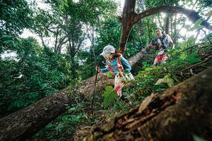 BIB: 
                            <button type="button" onclick="openModal(22778118)" class="btn btn-primary btn-sm float-right btn-popup" data-toggle="modal" data-target=".modal-high-quality">
                        <i class="fas fa-shopping-cart"></i> Add to Cart
                    </button>
                                            <button type="button" onclick="isThisMe(22778118, true)" class="btn btn-success btn-sm float-right btn-popup btn-isme hidden" data-toggle="tooltip" data-placement="bottom" title="นี่คือรูปของคุณใช่ไหม คลิกที่นี่เพื่อเอาเข้าอัลบั้ม">
                        <i class="fas fa-plus"></i> Add to album
                    </button>
                    <button type="button" onclick="isThisMe(22778118, false)" class="btn btn-warning btn-sm float-right btn-popup btn-isnotme hidden">
                        <i class="fas fa-ban"></i> Remove from album
                    </button>