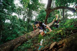 BIB: 195
                            <button type="button" onclick="openModal(22778677)" class="btn btn-primary btn-sm float-right btn-popup" data-toggle="modal" data-target=".modal-high-quality">
                        <i class="fas fa-shopping-cart"></i> Add to Cart
                    </button>
                                            <button type="button" onclick="isThisMe(22778677, true)" class="btn btn-success btn-sm float-right btn-popup btn-isme hidden" data-toggle="tooltip" data-placement="bottom" title="นี่คือรูปของคุณใช่ไหม คลิกที่นี่เพื่อเอาเข้าอัลบั้ม">
                        <i class="fas fa-plus"></i> Add to album
                    </button>
                    <button type="button" onclick="isThisMe(22778677, false)" class="btn btn-warning btn-sm float-right btn-popup btn-isnotme hidden">
                        <i class="fas fa-ban"></i> Remove from album
                    </button>