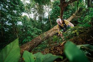 BIB: 
                            <button type="button" onclick="openModal(22777267)" class="btn btn-primary btn-sm float-right btn-popup" data-toggle="modal" data-target=".modal-high-quality">
                        <i class="fas fa-shopping-cart"></i> Add to Cart
                    </button>
                                            <button type="button" onclick="isThisMe(22777267, true)" class="btn btn-success btn-sm float-right btn-popup btn-isme hidden" data-toggle="tooltip" data-placement="bottom" title="นี่คือรูปของคุณใช่ไหม คลิกที่นี่เพื่อเอาเข้าอัลบั้ม">
                        <i class="fas fa-plus"></i> Add to album
                    </button>
                    <button type="button" onclick="isThisMe(22777267, false)" class="btn btn-warning btn-sm float-right btn-popup btn-isnotme hidden">
                        <i class="fas fa-ban"></i> Remove from album
                    </button>