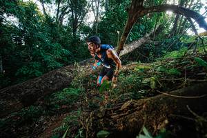 BIB: 
                            <button type="button" onclick="openModal(22777518)" class="btn btn-primary btn-sm float-right btn-popup" data-toggle="modal" data-target=".modal-high-quality">
                        <i class="fas fa-shopping-cart"></i> Add to Cart
                    </button>
                                            <button type="button" onclick="isThisMe(22777518, true)" class="btn btn-success btn-sm float-right btn-popup btn-isme hidden" data-toggle="tooltip" data-placement="bottom" title="นี่คือรูปของคุณใช่ไหม คลิกที่นี่เพื่อเอาเข้าอัลบั้ม">
                        <i class="fas fa-plus"></i> Add to album
                    </button>
                    <button type="button" onclick="isThisMe(22777518, false)" class="btn btn-warning btn-sm float-right btn-popup btn-isnotme hidden">
                        <i class="fas fa-ban"></i> Remove from album
                    </button>