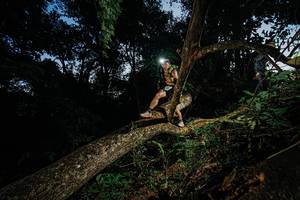 BIB: 
                            <button type="button" onclick="openModal(22774550)" class="btn btn-primary btn-sm float-right btn-popup" data-toggle="modal" data-target=".modal-high-quality">
                        <i class="fas fa-shopping-cart"></i> Add to Cart
                    </button>
                                            <button type="button" onclick="isThisMe(22774550, true)" class="btn btn-success btn-sm float-right btn-popup btn-isme hidden" data-toggle="tooltip" data-placement="bottom" title="นี่คือรูปของคุณใช่ไหม คลิกที่นี่เพื่อเอาเข้าอัลบั้ม">
                        <i class="fas fa-plus"></i> Add to album
                    </button>
                    <button type="button" onclick="isThisMe(22774550, false)" class="btn btn-warning btn-sm float-right btn-popup btn-isnotme hidden">
                        <i class="fas fa-ban"></i> Remove from album
                    </button>